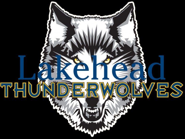 wolfie head (1)