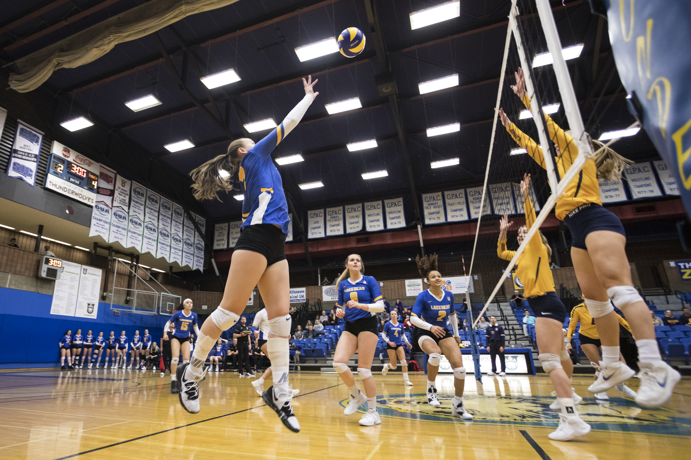 Thunderwolves take single set from the Queen's in loss