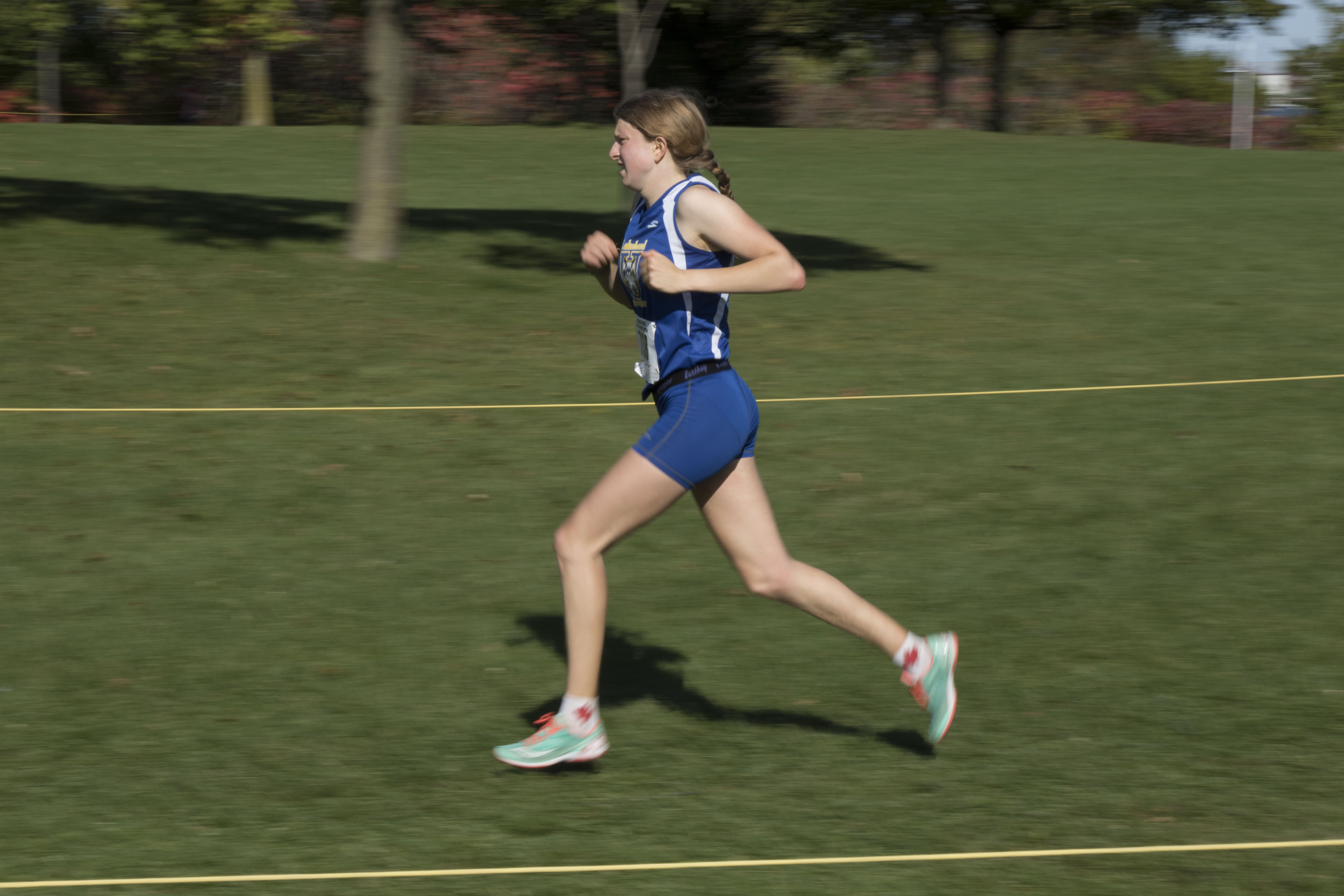 Thunderwolves cross country season ends at OUAs
