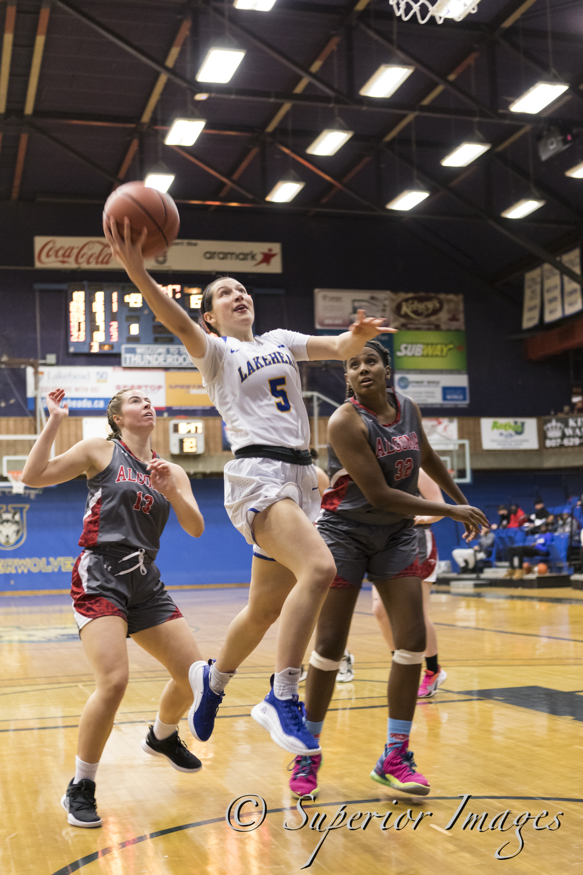 Lakehead University Welcomes 6-1 Eva Guilera to the Thunderwolves Women's  Basketball Team - Lakehead Athletics